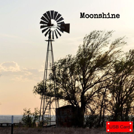 Still a Fool Band | Moonshine