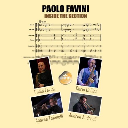 Paolo Favini "Inside the section" - Libro